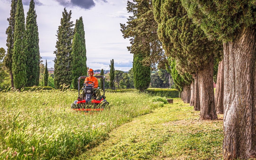 Få slebet din græsslåmaskine jævnligt, og få fine resultater